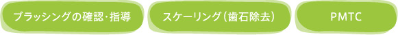 ブラッシングの確認・指導 スケーリング（歯石除去） PMTC