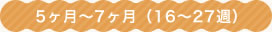 5ヶ月〜7ヶ月（16〜27週）