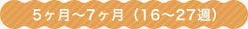 5ヶ月〜7ヶ月（16〜27週）