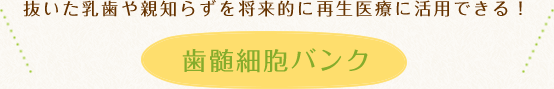 抜いた乳歯や親知らずを将来的に再生医療に活用できる！歯髄細胞バンク