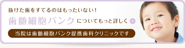抜けた歯を捨てるのはもったいない！「歯髄細胞バンク」についてもっと詳しく　当院は歯髄細胞バンク提携歯科クリニックです