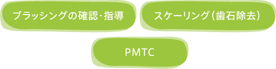 ブラッシングの確認・指導 スケーリング（歯石除去） PMTC