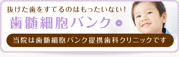 抜けた歯を捨てるのはもったいない！歯髄細胞バンク　当院は歯髄細胞バンク提携歯科クリニックです