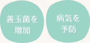 「善玉菌を増加」「病気を予防」